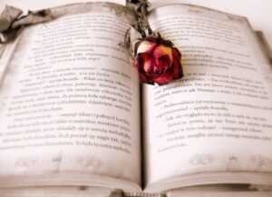 book, rose, rose flower, book mark, open book, pages, chapter, novel, read, literature, reading, bookworm